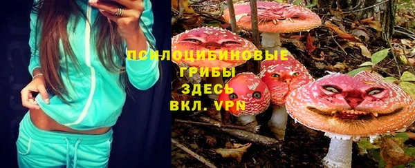 стафф Богданович