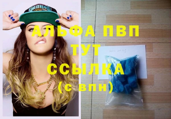 стафф Богданович
