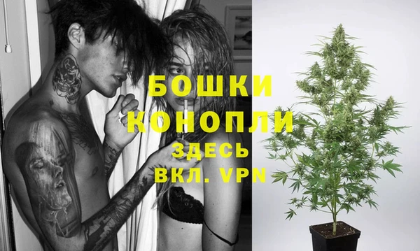 стафф Богданович